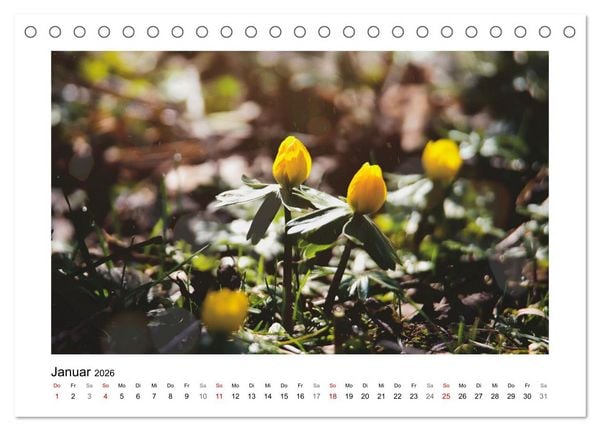 Produktbild: Mein Sehnsuchtsort, der Garten (Tischkalender 2026 DIN A5 quer), CALVENDO Monatskalender