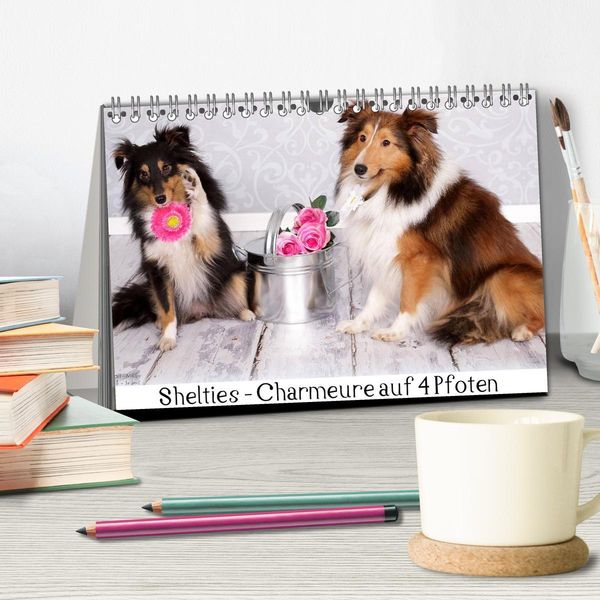 Produktbild: Shelties : Charmeure auf 4 Pfoten (Tischkalender 2026 DIN A5 quer), CALVENDO Monatskalender