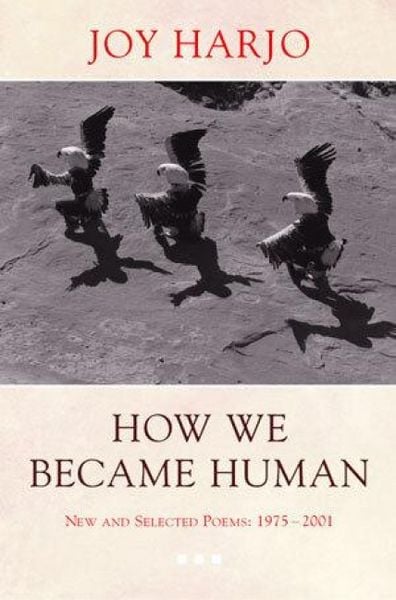 Produktbild: How We Became Human