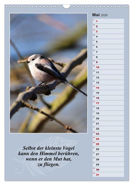 Produktbild: Schwanzmeisen, die niedlichen kleinen Pfannenstielchen (Wandkalender 2026 DIN A3 hoch), CALVENDO Monatskalender