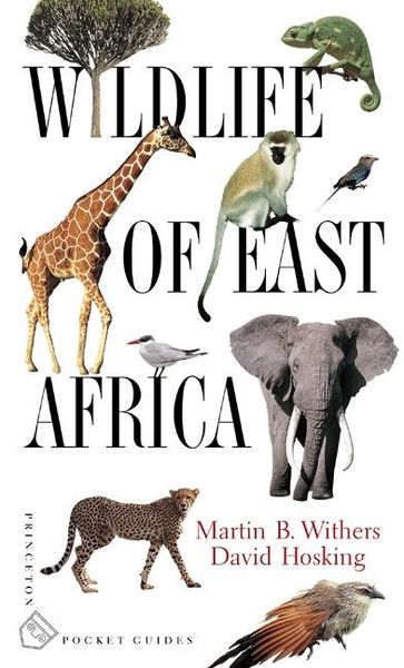 Produktbild: Wildlife of East Africa