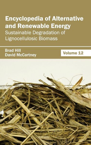 Produktbild: Encyclopedia of Alternative and Renewable Energy