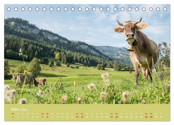 Produktbild: Heimweh Allg&auml;u 2026 (Tischkalender 2026 DIN A5 quer), CALVENDO Monatskalender