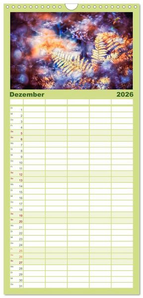 Produktbild: Familienplaner 2026 - Farne vom Licht umtanzt mit 5 Spalten (Wandkalender, 21 x 45 cm) CALVENDO