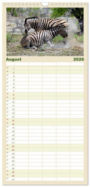 Produktbild: Familienplaner 2026 - Roadtrip in Namibia mit 5 Spalten (Wandkalender, 21 x 45 cm) CALVENDO