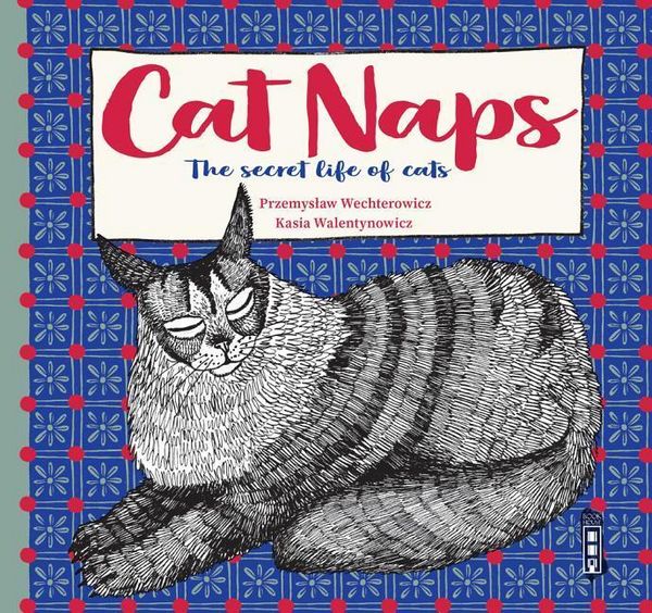 Produktbild: The Secret Lives of Cats