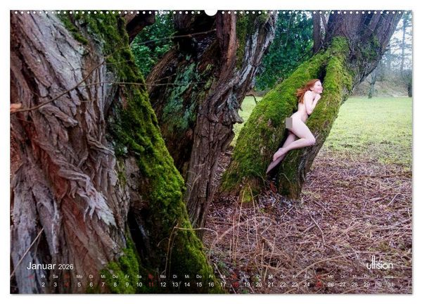 Produktbild: Lieblingsb&auml;ume - eins mit der Natur (hochwertiger Premium Wandkalender 2026 DIN A2 quer), Kunstdruck in Hochglanz