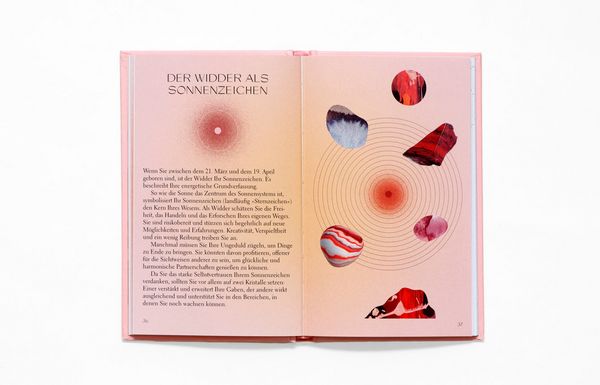 Produktbild: Widder