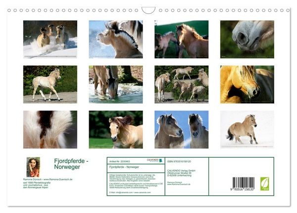 Produktbild: Fjordpferde - Norweger (Wandkalender 2026 DIN A3 quer), CALVENDO Monatskalender