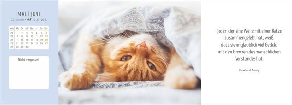 Produktbild: Katzen Premium-Tischplaner 2027 - Der literarische Wochenkalender mit Zitaten