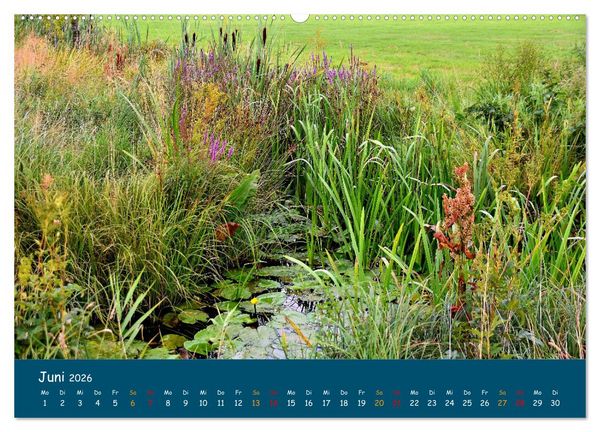 Produktbild: Naturschutzgebiet W&uuml;mme (hochwertiger Premium Wandkalender 2026 DIN A2 quer), Kunstdruck in Hochglanz