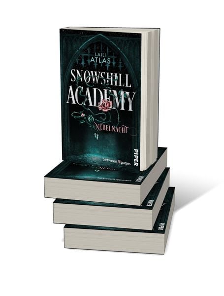 Produktbild: Snowshill Academy &ndash; Nebelnacht