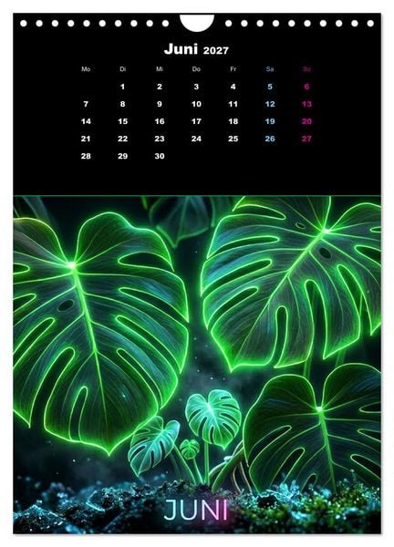 Produktbild: Neon Botanicals - Flora im Lichtrausch (Wandkalender 2027 DIN A4 hoch), CALVENDO Monatskalender