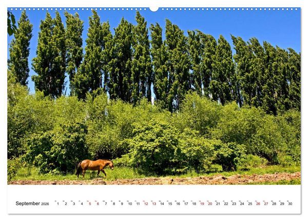Produktbild: Faszinierendes Patagonien (hochwertiger Premium Wandkalender 2026 DIN A2 quer), Kunstdruck in Hochglanz