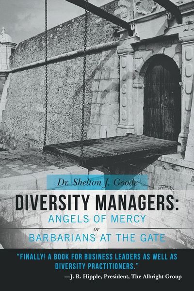 Produktbild: Diversity Managers