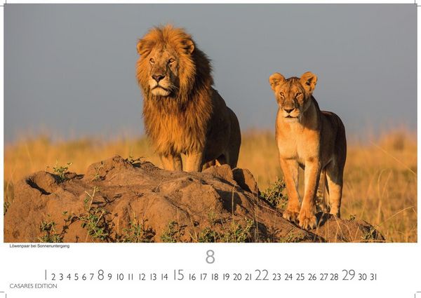 Produktbild: Kenia & Serengheti Kalender 2027 &ndash; Wandkalender | Fotokalender Afrika 35x50cm &ndash; Wundersch&ouml;ne Tierkalender- und Naturschutzfotos.