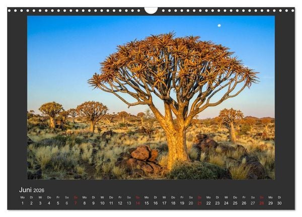 Produktbild: Facetten Namibias (Wandkalender 2026 DIN A3 quer), CALVENDO Monatskalender