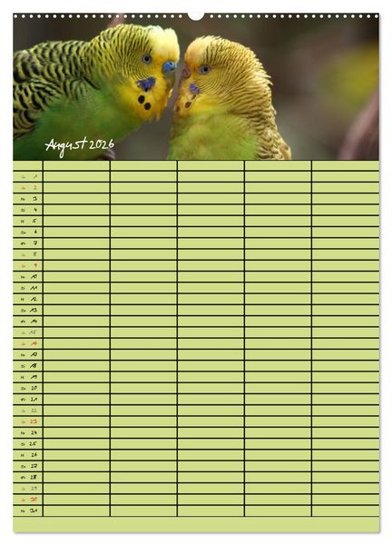 Produktbild: Der Wellensittich-Familienplaner (hochwertiger Premium Wandkalender 2026 DIN A2 hoch), Kunstdruck in Hochglanz