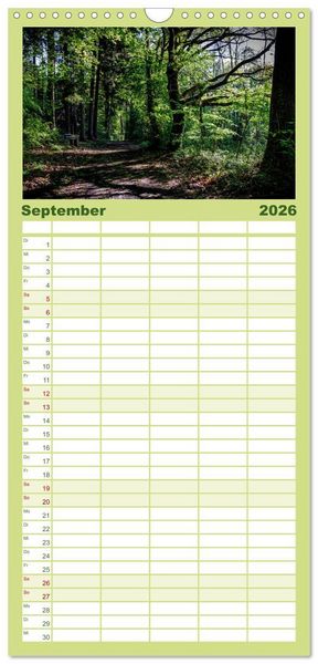 Produktbild: Familienplaner 2026 - Wege des einfachen Gl&uuml;cks - Spazierg&auml;nge im Wald mit 5 Spalten (Wandkalender, 21 x 45 cm) CALVENDO