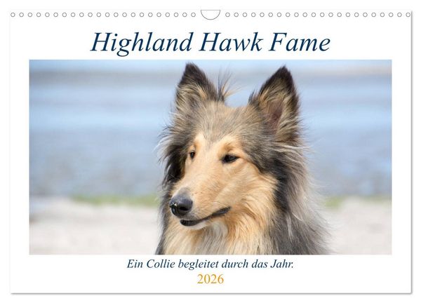 Produktbild: Highland Hawk Fame - Ein Collie begleitet durch das Jahr (Wandkalender 2026 DIN A3 quer), CALVENDO Monatskalender