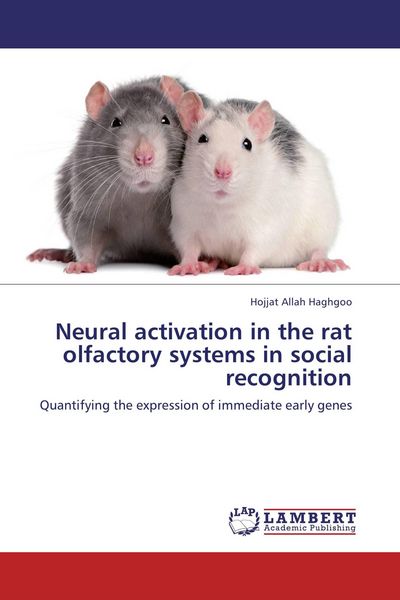 Produktbild: Neural activation in the rat olfactory systems in social recognition