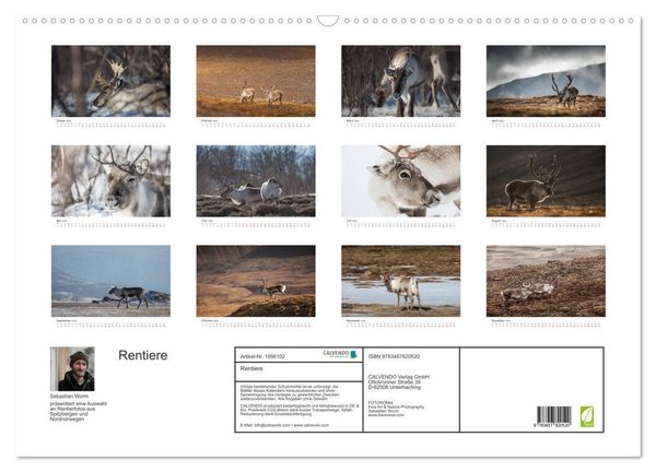 Produktbild: Rentiere (Wandkalender 2026 DIN A2 quer), CALVENDO Monatskalender