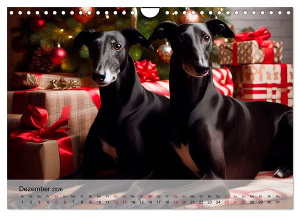 Produktbild: Black is beautiful (Wandkalender 2026 DIN A4 quer), CALVENDO Monatskalender