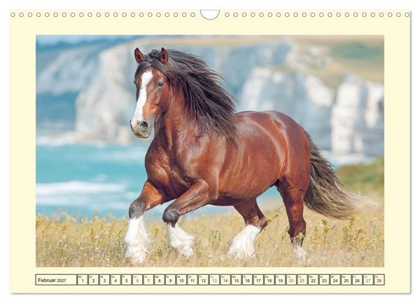 Produktbild: Shire Horse Zauber. Englands elegante Riesen (Wandkalender 2027 DIN A3 quer), CALVENDO Monatskalender
