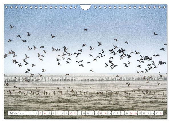 Produktbild: Naturerlebnis R&oslash;m&oslash; (Wandkalender 2026 DIN A4 quer), CALVENDO Monatskalender