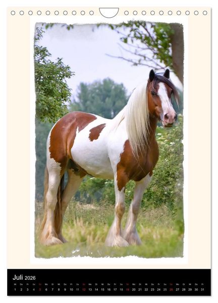 Produktbild: Gypsy's (Wandkalender 2026 DIN A4 hoch), CALVENDO Monatskalender