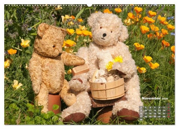 Produktbild: Geliebte B&auml;ren - Teddys (hochwertiger Premium Wandkalender 2026 DIN A2 quer), Kunstdruck in Hochglanz