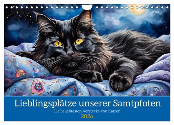 Produktbild: Lieblingspl&auml;tze unserer Samtpfoten (Wandkalender 2026 DIN A4 quer), CALVENDO Monatskalender