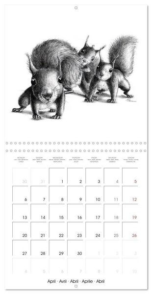 Produktbild: owls and mates 2026 (Wall Calendar 2026 12 &times; 12 Inch) CALVENDO 12 Month Wall Calendar