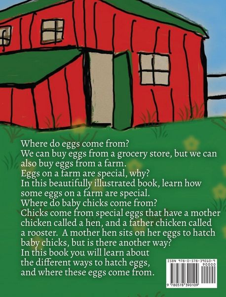Produktbild: Special Eggs Where Do They Come From?
