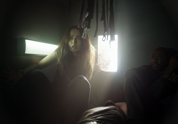 Produktbild: The Forever Purge - Keine Regeln mehr