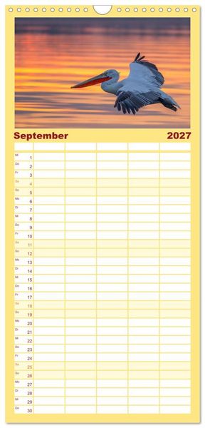 Produktbild: Familienplaner 2027 - Krauskopfpelikane mit 5 Spalten (Wandkalender, 21 x 45 cm) CALVENDO