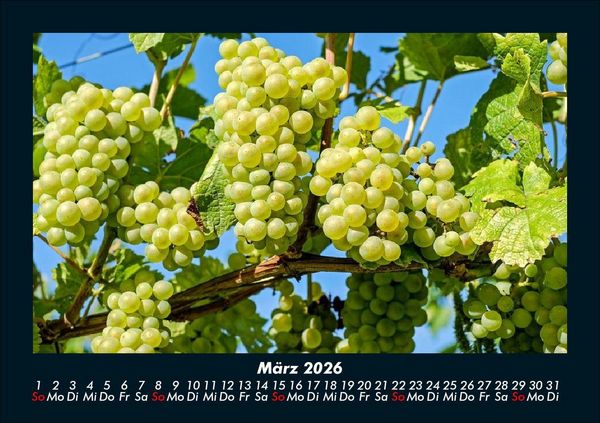 Produktbild: Obstkalender 2026 Fotokalender DIN A5