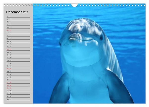 Produktbild: Delfine und Wale (Wandkalender 2026 DIN A3 quer), CALVENDO Monatskalender