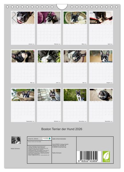 Produktbild: Boston Terrier der Hund 2026 (Wandkalender 2026 DIN A4 hoch), CALVENDO Monatskalender