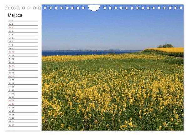 Produktbild: Insel &AElig;r&oslash; - Perle der D&auml;nischen S&uuml;dsee (Wandkalender 2026 DIN A4 quer), CALVENDO Monatskalender