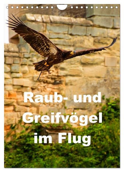 Produktbild: Raub- und Greifv&ouml;gel im Flug (Wandkalender 2026 DIN A4 hoch), CALVENDO Monatskalender