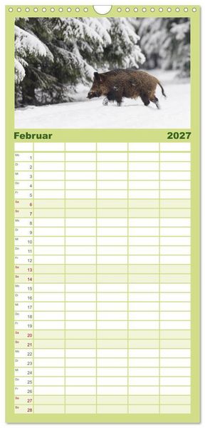 Produktbild: Familienplaner 2027 - Wildschweine &ndash; Wildlife Fotografien mit 5 Spalten (Wandkalender, 21 x 45 cm) CALVENDO