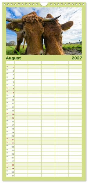 Produktbild: Familienplaner 2027 - Kuhckst du? mit 5 Spalten (Wandkalender, 21 x 45 cm) CALVENDO