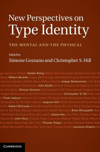 Produktbild: New Perspectives on Type Identity