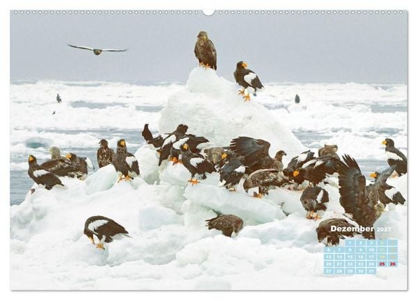 Produktbild: Japan: Entdecken Sie gelebte Tradition und einzigartige Naturwunder (Wandkalender 2027 DIN A2 quer), CALVENDO Monatskalender
