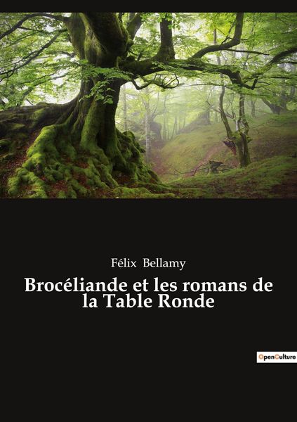 Produktbild: Broc&eacute;liande et les romans de la Table Ronde