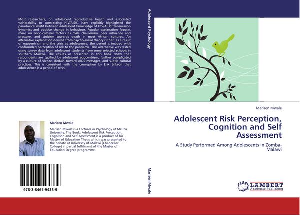 Produktbild: Adolescent Risk Perception, Cognition and Self Assessment