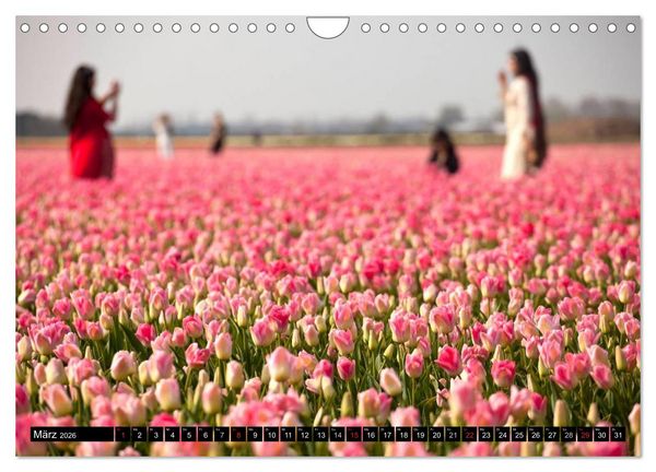 Produktbild: Tulpen (Wandkalender 2026 DIN A4 quer), CALVENDO Monatskalender