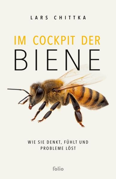 Produktbild: Im Cockpit der Biene