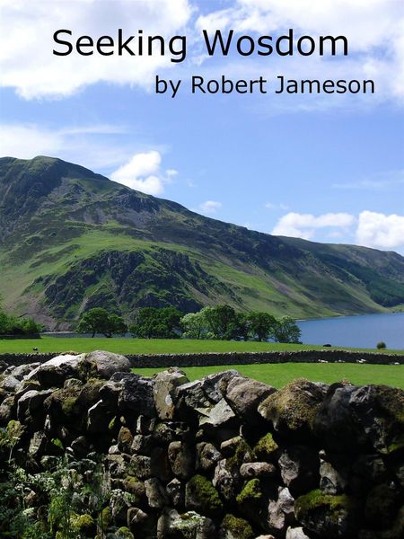 Produktbild: Seeking Wosdom (The Wosdom Series, #2)